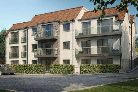 Rear Elevation