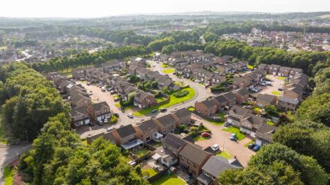 Location Aerial Shot
