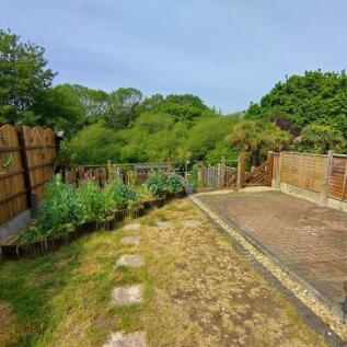 Garden 2.jpg