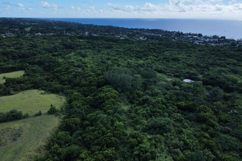 36 Acres, Holetown