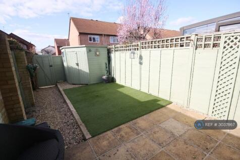 Back Garden