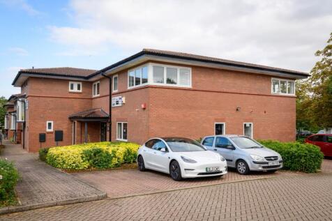 240909_0179_HOLLIS TIF 30060430633.jpg