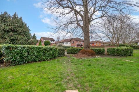 Property Image 13