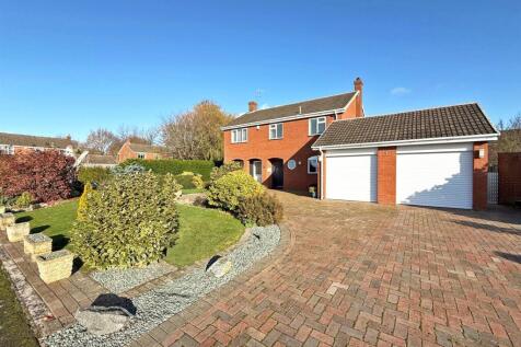 thumbnail_image4 (2).jpg