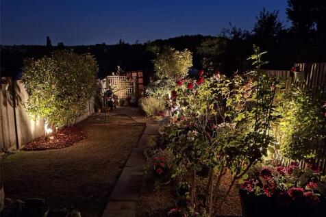 Garden At Night