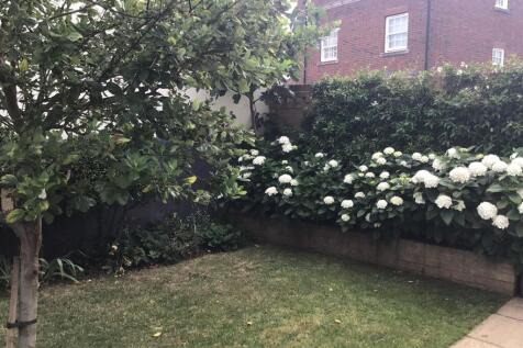 Summer Garden Flowers