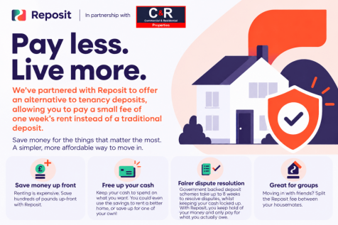 Reposit Info Flyer