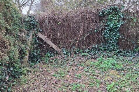 Property Image 22