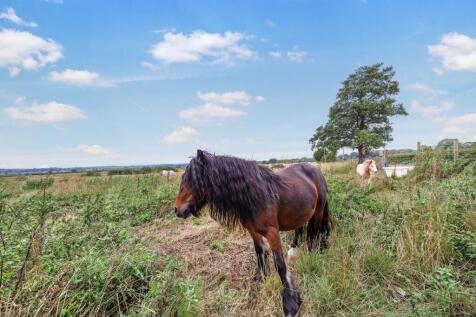 Field Views