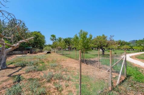 30 - Finca Binissale