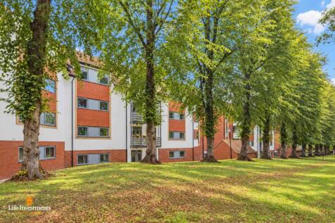 Rear of Property