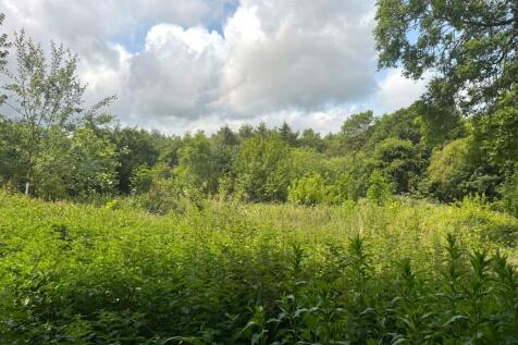 WhatsApp Image 2025-09-11 At 15.58.11 Dacaa634 T202509111613.jpg