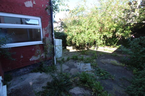 Rearyard T202609141631.jpg