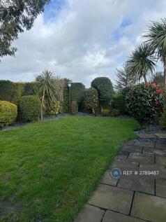 Back Garden