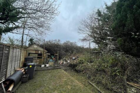 IMG 3272 T202602170922.jpeg