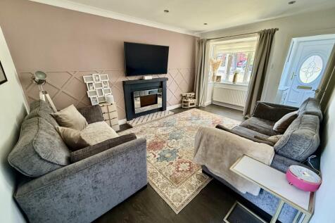 IMG_4525