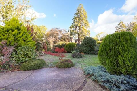 Picture No. 05