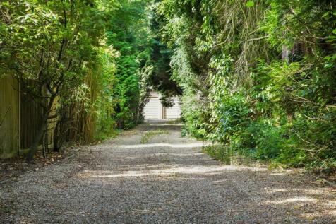 SILVER TREE EXTERNALS- (4).jpg