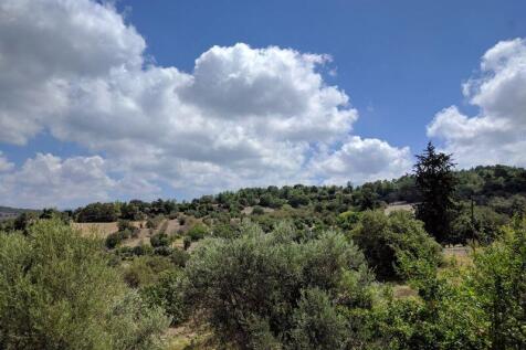 View from the...