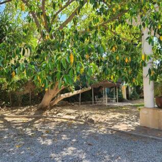 Property Image 66