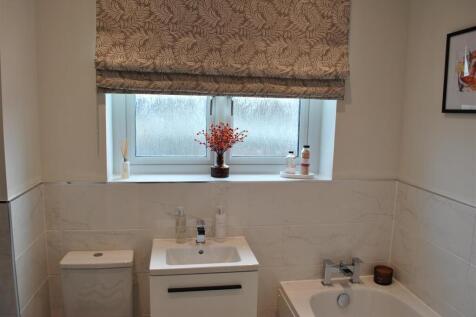 2024-09-26 10.59.19.jpg