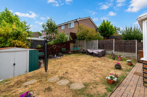 Sunny summer garden with soft clouds.png