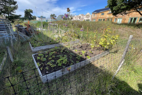 Rear Flower beds.JPG