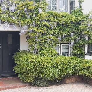 Property Image 41