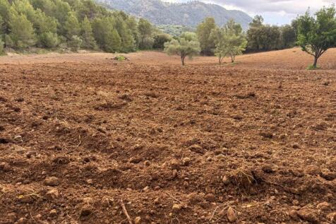 PHOTO-2025-05-07-20-