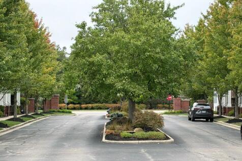 Property Image 63