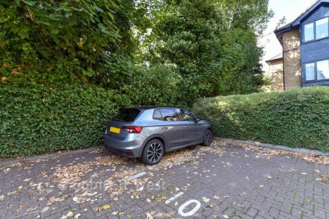 Driveway/Parking