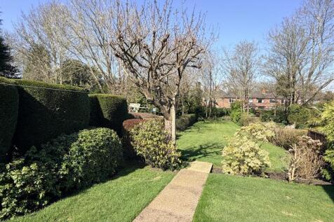 sunny pics6.jpeg