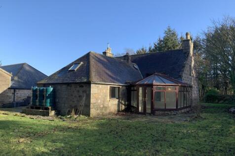 Image 31