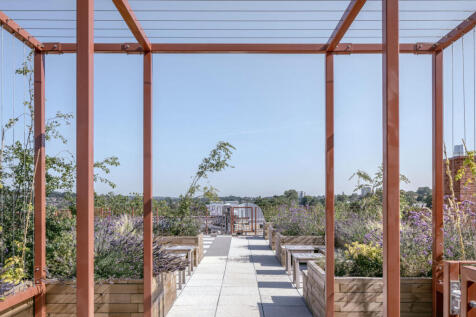 Terrace / Patio