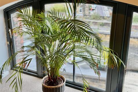 LOUNGE/KITCHEN/DINER