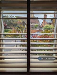 View From The 2nd Bedroom Of The Mews