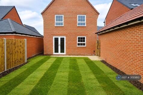 Back Garden 3 