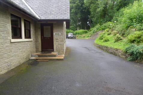 Photo 07