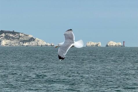 The Needles