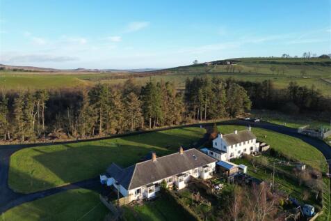 DJI_0909.JPG