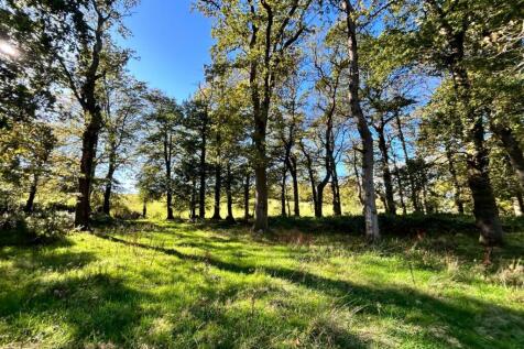 Photo 08-10-2025, 14 30 30.jpg