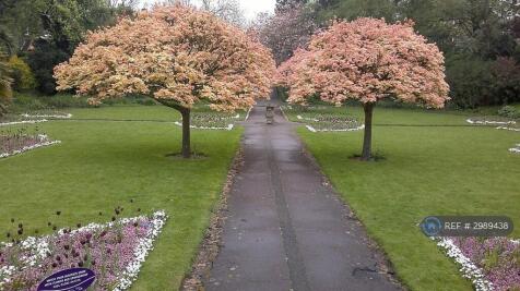 Kingsnorth Gardens 