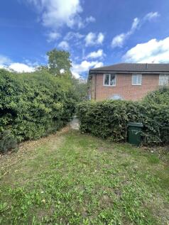 Garden 2.jpeg