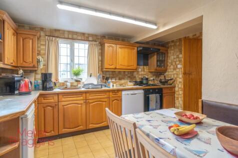 20250321-20250321-DSC07231 (2).jpg