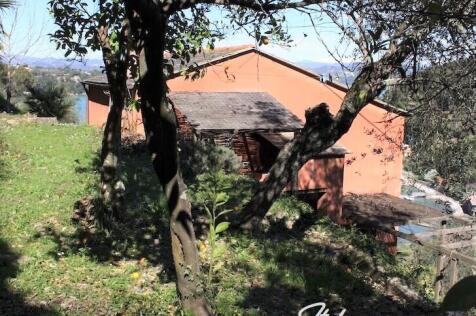LA SULA 97.jpg