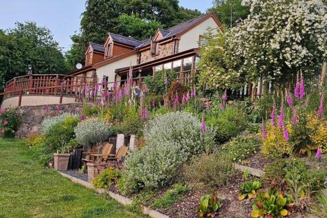 Oak haven in flower.jpg