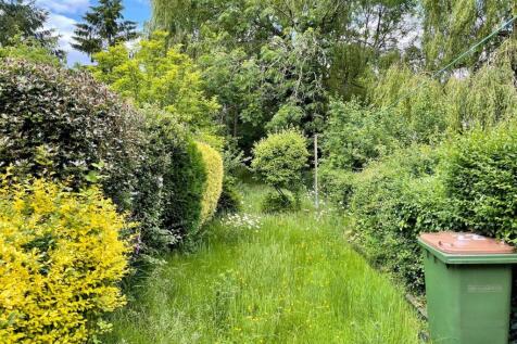 22 Castle Road Garden.jpg