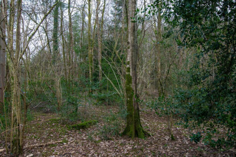 Woodlands	