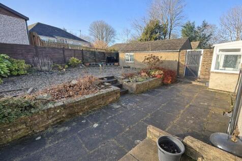 Back garden