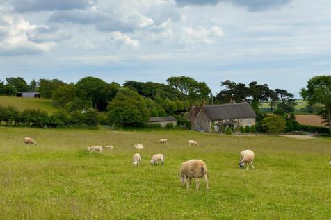 Front View With Sheep.jpg